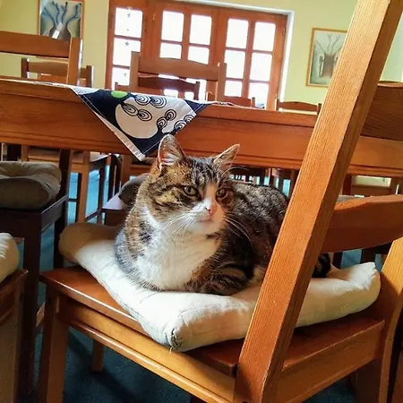 Chata Lucka Vendégház *